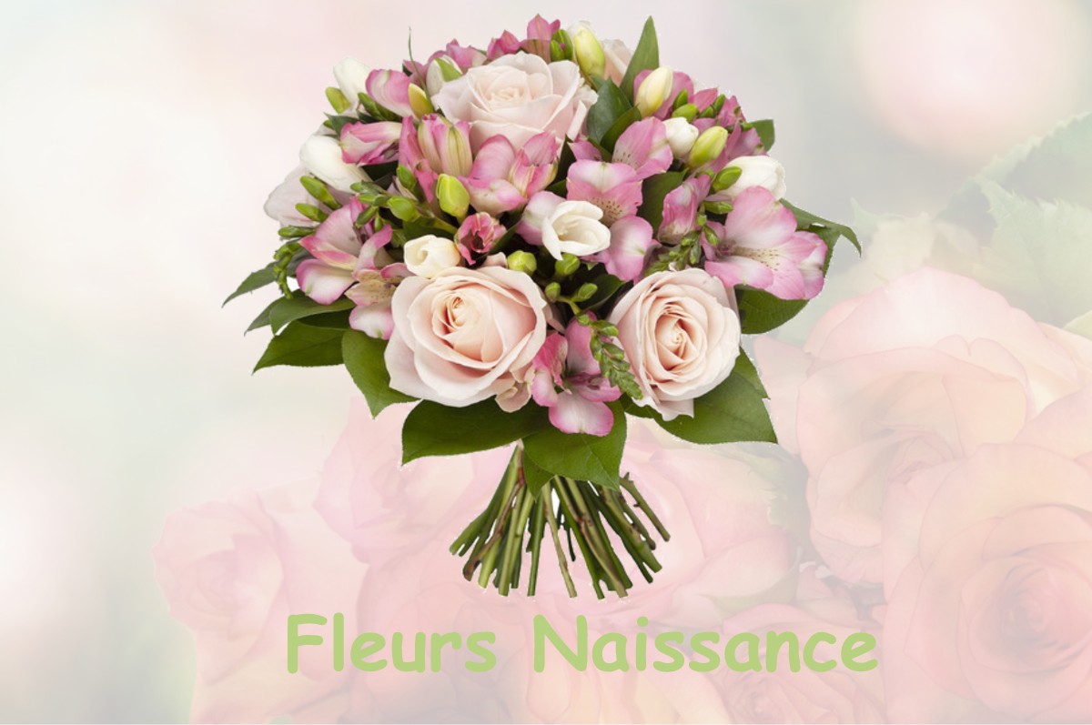 fleurs naissance LUSSAGNET