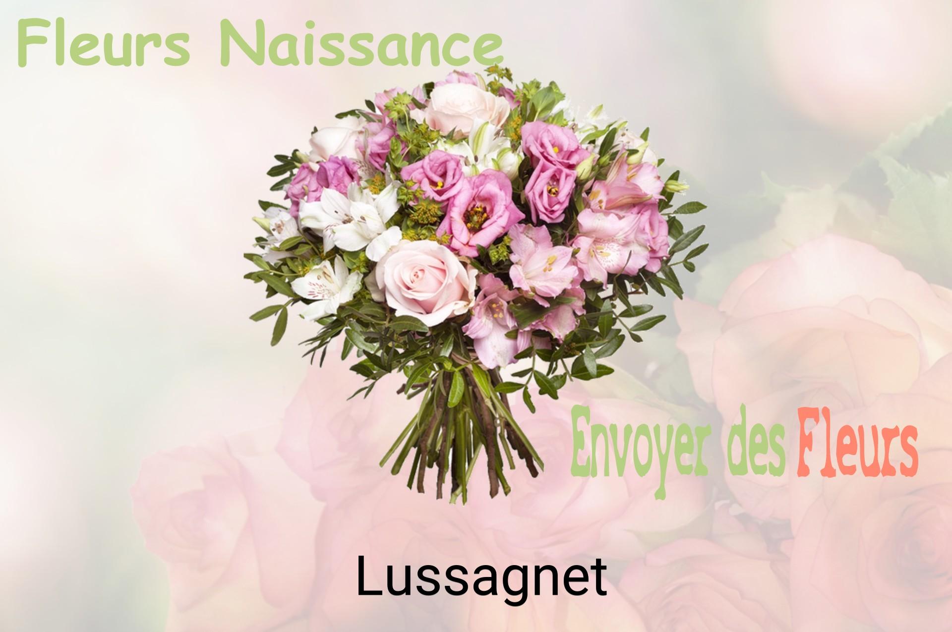 Bouquet de fleurs de naissance livré à Lussagnet