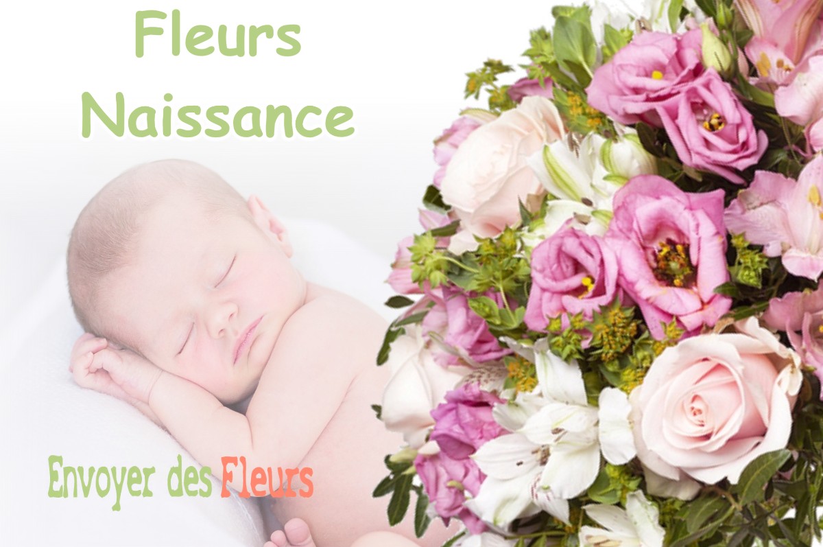 lIVRAISON FLEURS NAISSANCE à LUSSAGNET