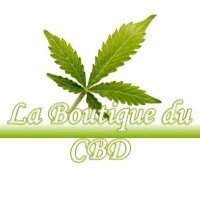 LA BOUTIQUE DU CBD LUSSAGNET 