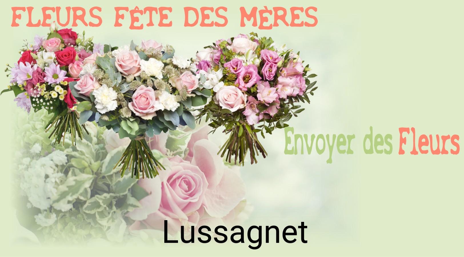 Bouquet de Fête des Mères livré à Lussagnet